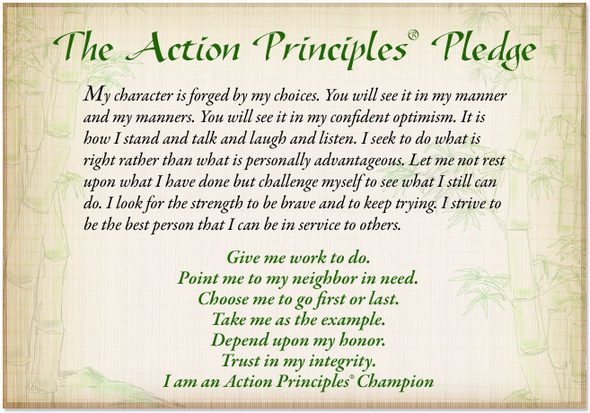 The Action Principles® Pledge